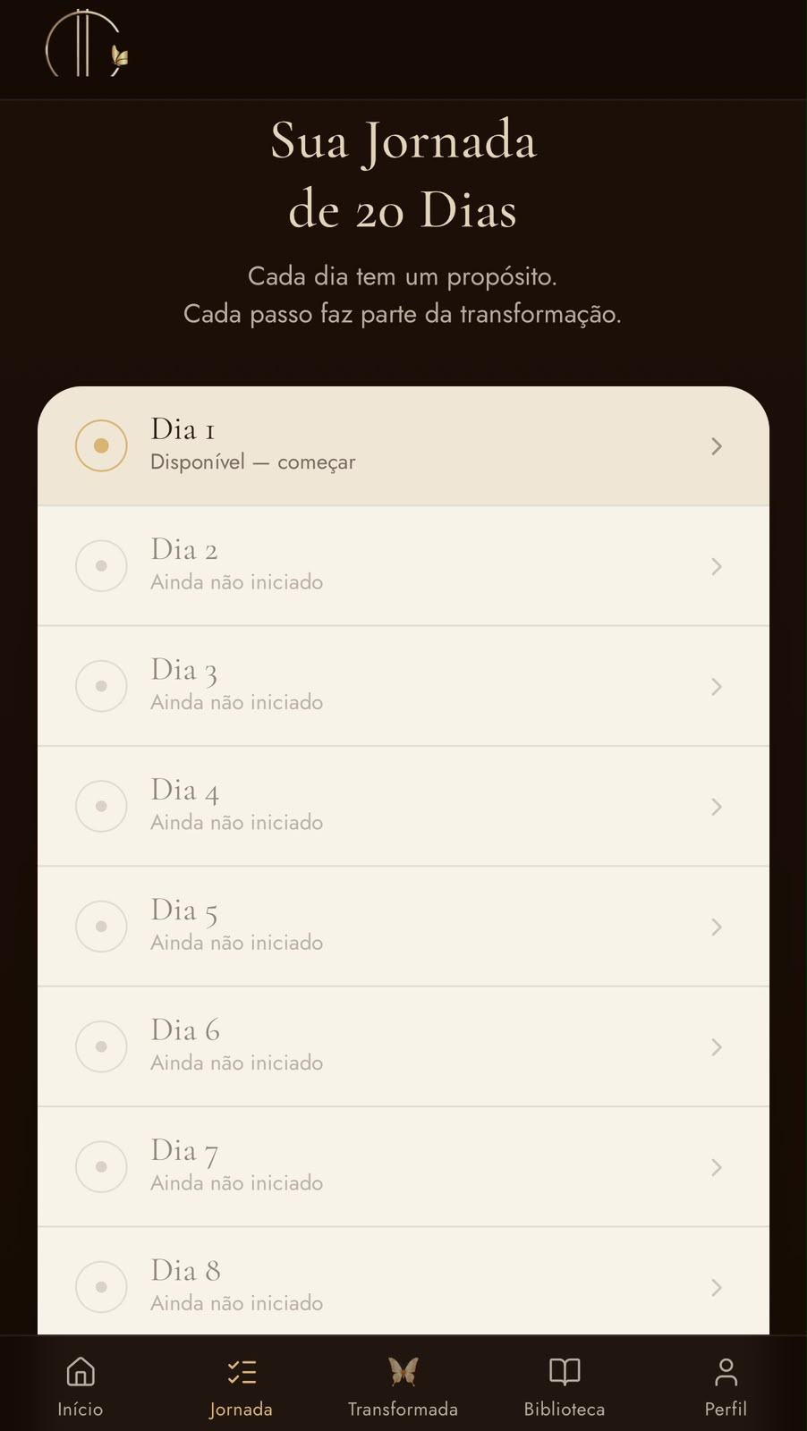 Print real da tela Sua Jornada de 20 Dias